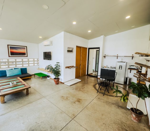 Dorms Puro Surf